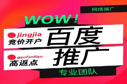 企业推广秘籍：百度竞价代理成功案例分析